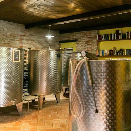 Ca Trifolera Barbaresco - Romantico Cascinale Con Antica Cantina Nel Cuore Delle Langhe - Degustazione Vini Nella Nostra Cantina Exteriér fotografie