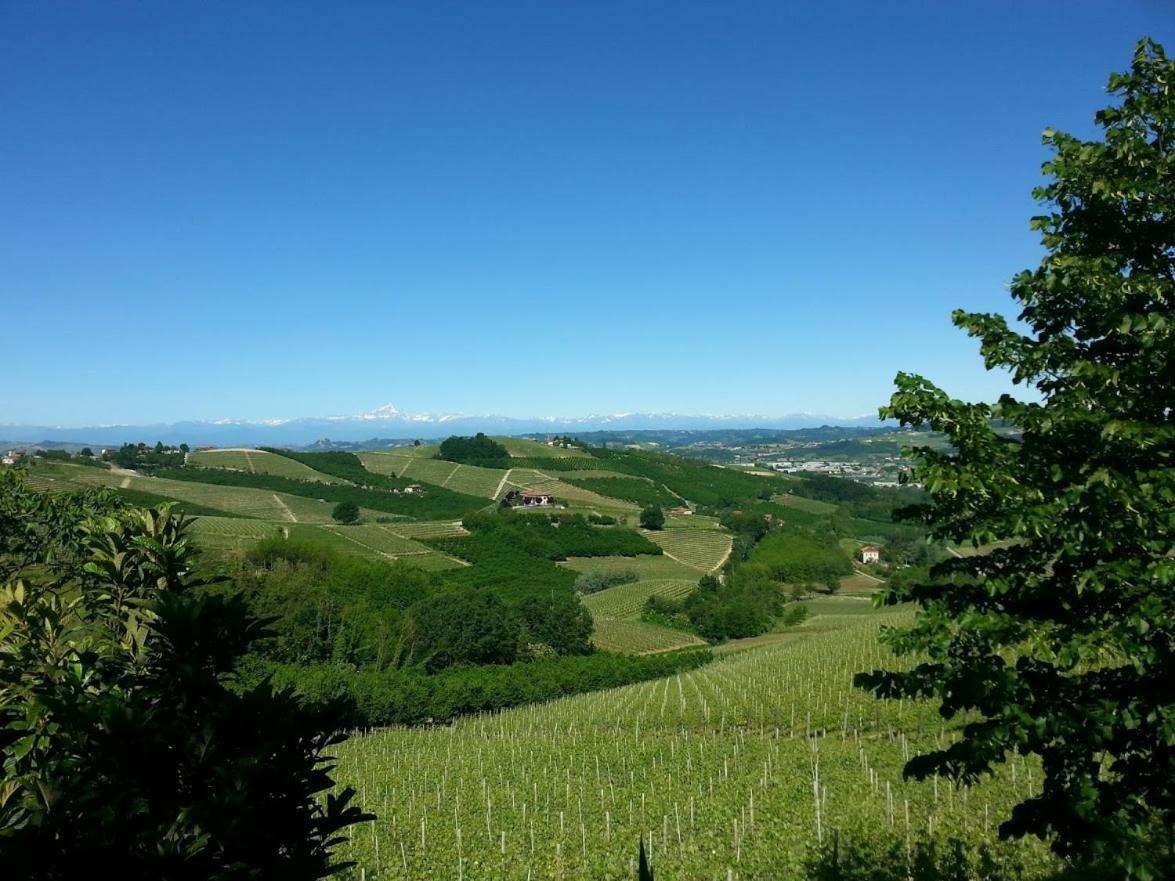 Ca Trifolera Barbaresco - Romantico Cascinale Con Antica Cantina Nel Cuore Delle Langhe - Degustazione Vini Nella Nostra Cantina Exteriér fotografie