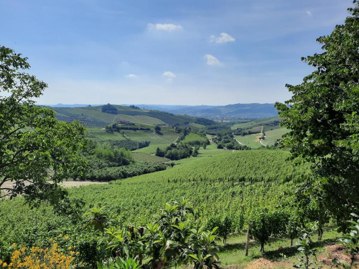 Ca Trifolera Barbaresco - Romantico Cascinale Con Antica Cantina Nel Cuore Delle Langhe - Degustazione Vini Nella Nostra Cantina Exteriér fotografie