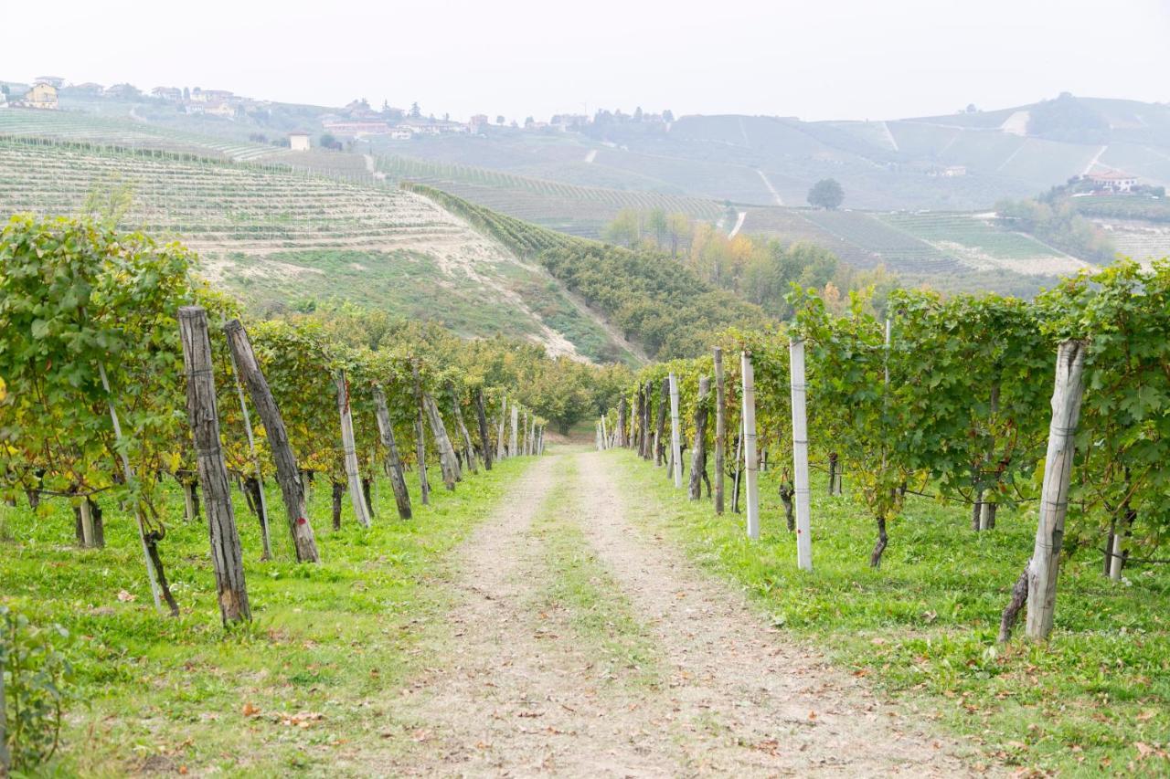 Ca Trifolera Barbaresco - Romantico Cascinale Con Antica Cantina Nel Cuore Delle Langhe - Degustazione Vini Nella Nostra Cantina Exteriér fotografie