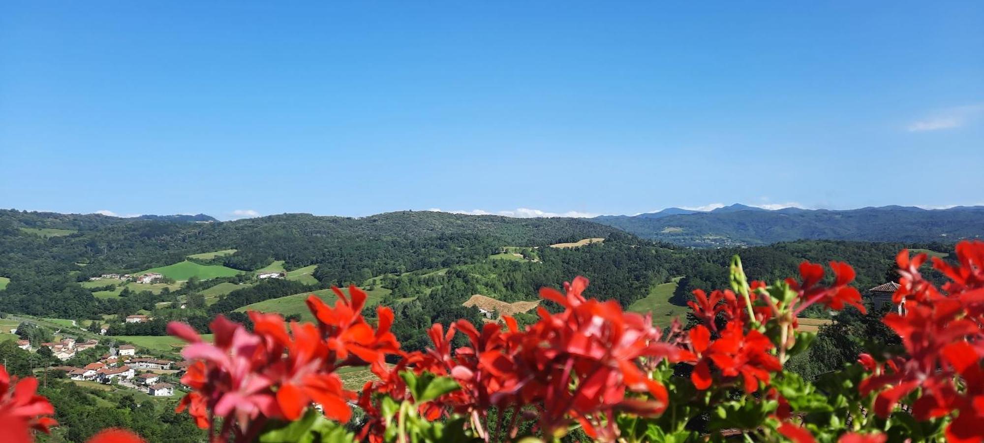 Ca Trifolera Barbaresco - Romantico Cascinale Con Antica Cantina Nel Cuore Delle Langhe - Degustazione Vini Nella Nostra Cantina Exteriér fotografie