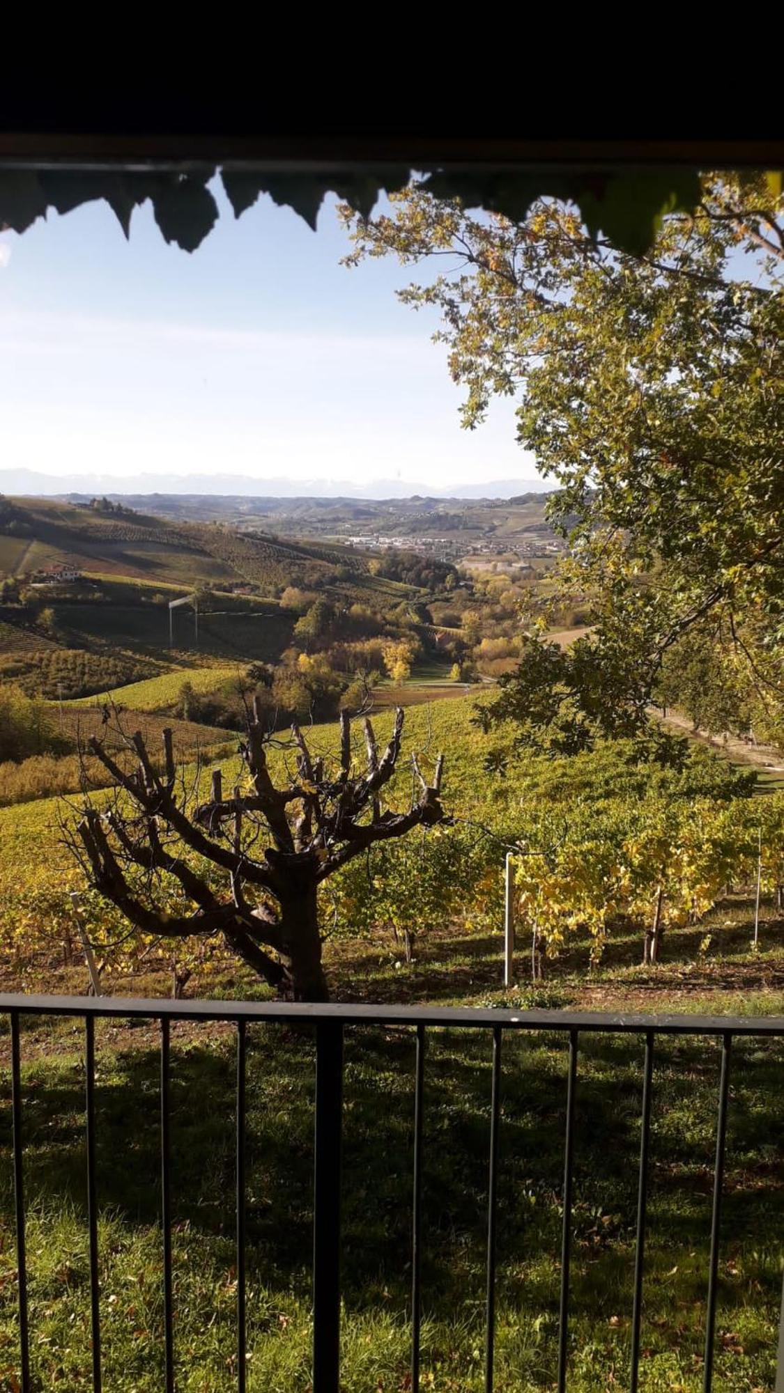 Ca Trifolera Barbaresco - Romantico Cascinale Con Antica Cantina Nel Cuore Delle Langhe - Degustazione Vini Nella Nostra Cantina Exteriér fotografie