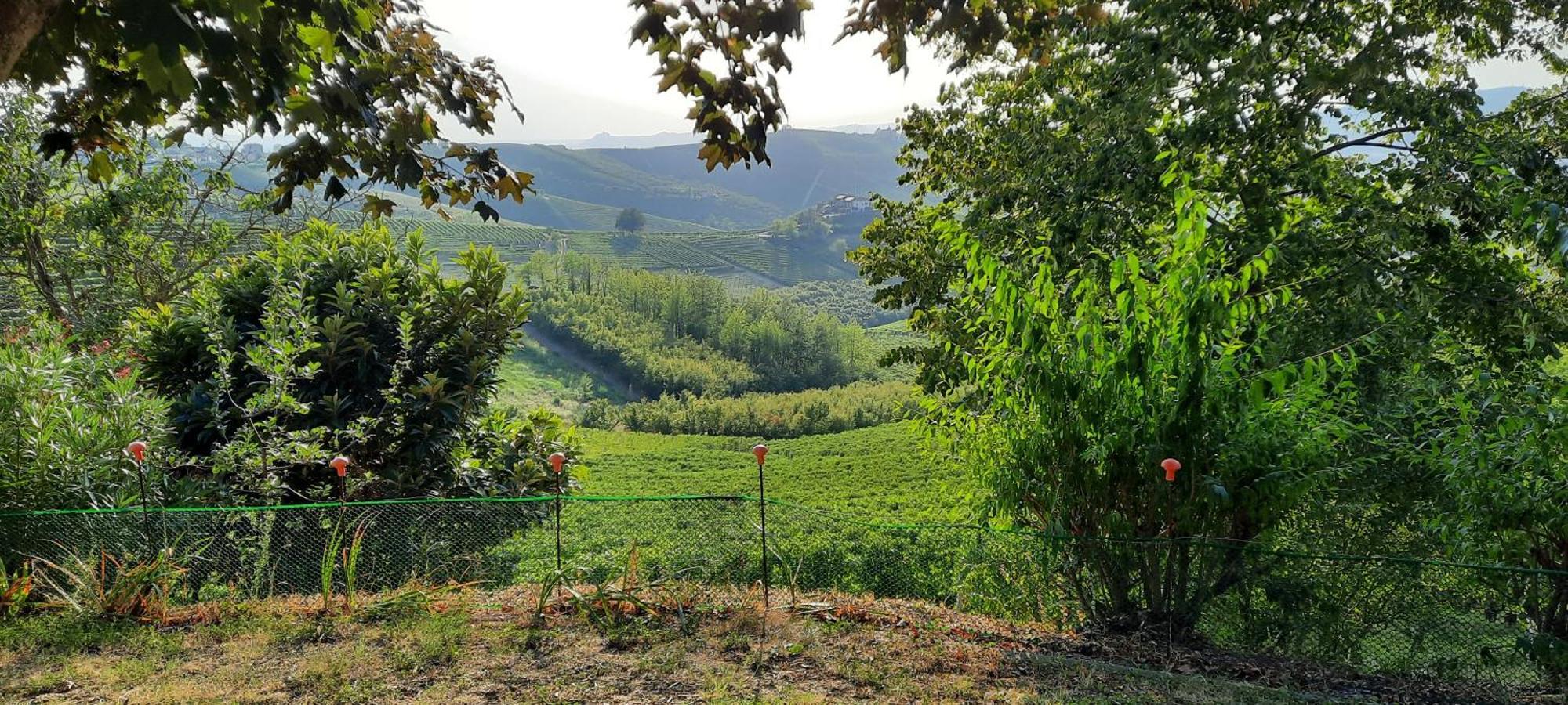 Ca Trifolera Barbaresco - Romantico Cascinale Con Antica Cantina Nel Cuore Delle Langhe - Degustazione Vini Nella Nostra Cantina Exteriér fotografie