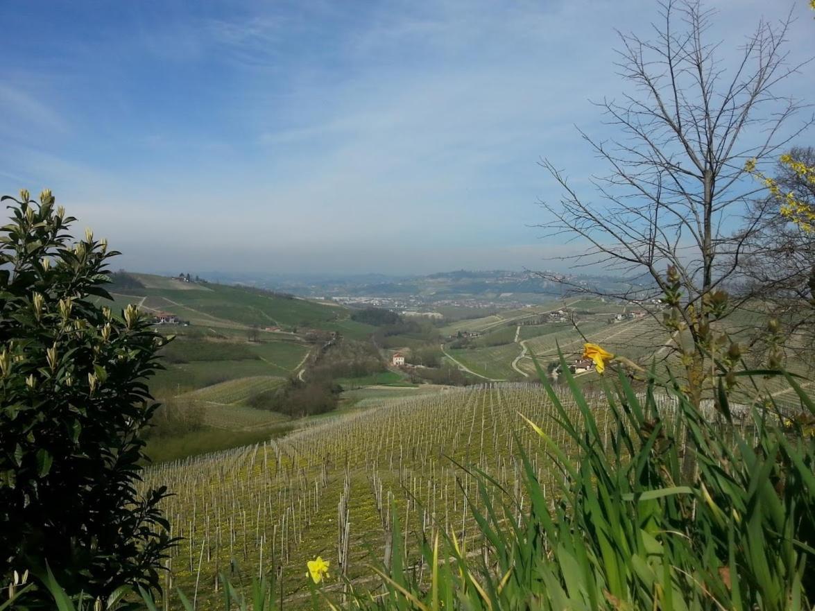 Ca Trifolera Barbaresco - Romantico Cascinale Con Antica Cantina Nel Cuore Delle Langhe - Degustazione Vini Nella Nostra Cantina Exteriér fotografie