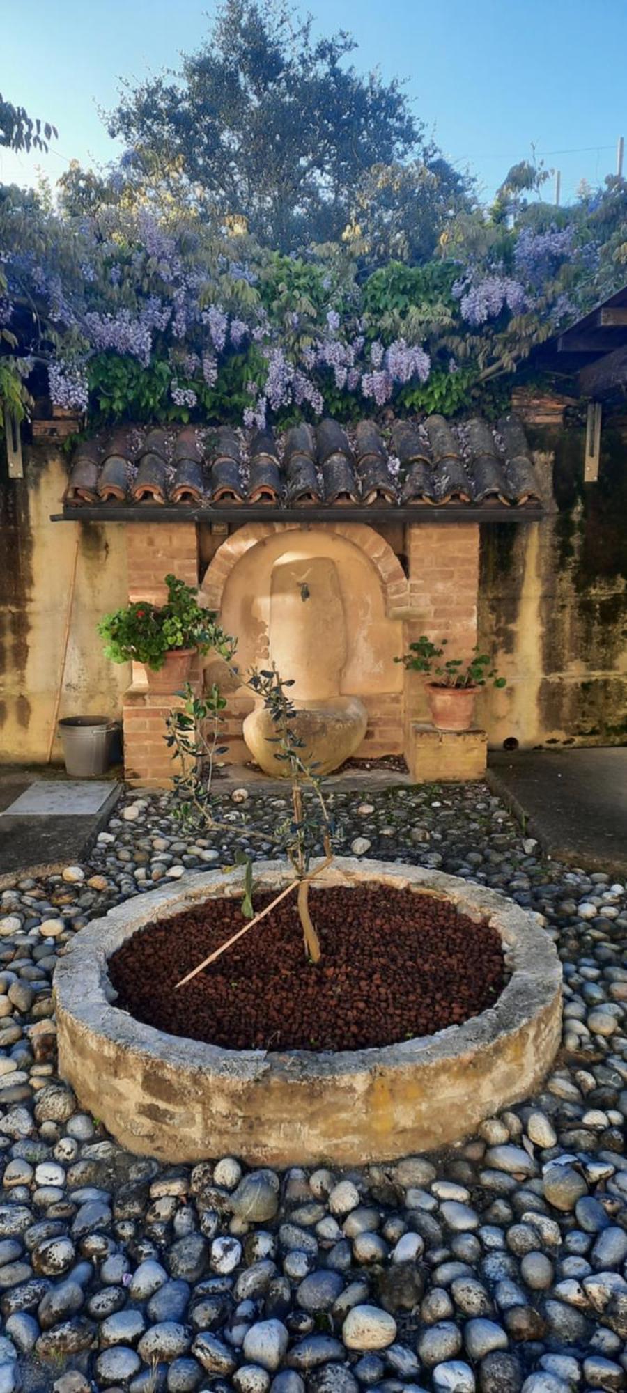 Ca Trifolera Barbaresco - Romantico Cascinale Con Antica Cantina Nel Cuore Delle Langhe - Degustazione Vini Nella Nostra Cantina Exteriér fotografie
