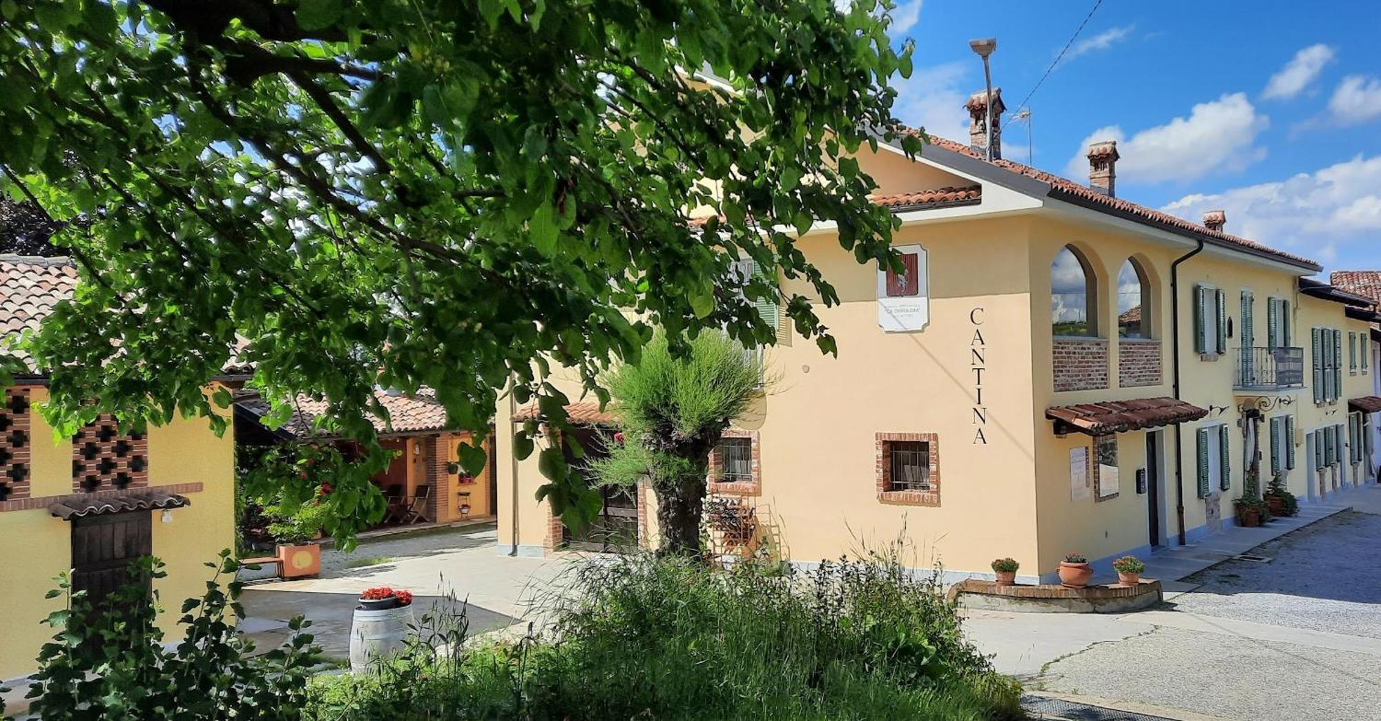 Ca Trifolera Barbaresco - Romantico Cascinale Con Antica Cantina Nel Cuore Delle Langhe - Degustazione Vini Nella Nostra Cantina Exteriér fotografie