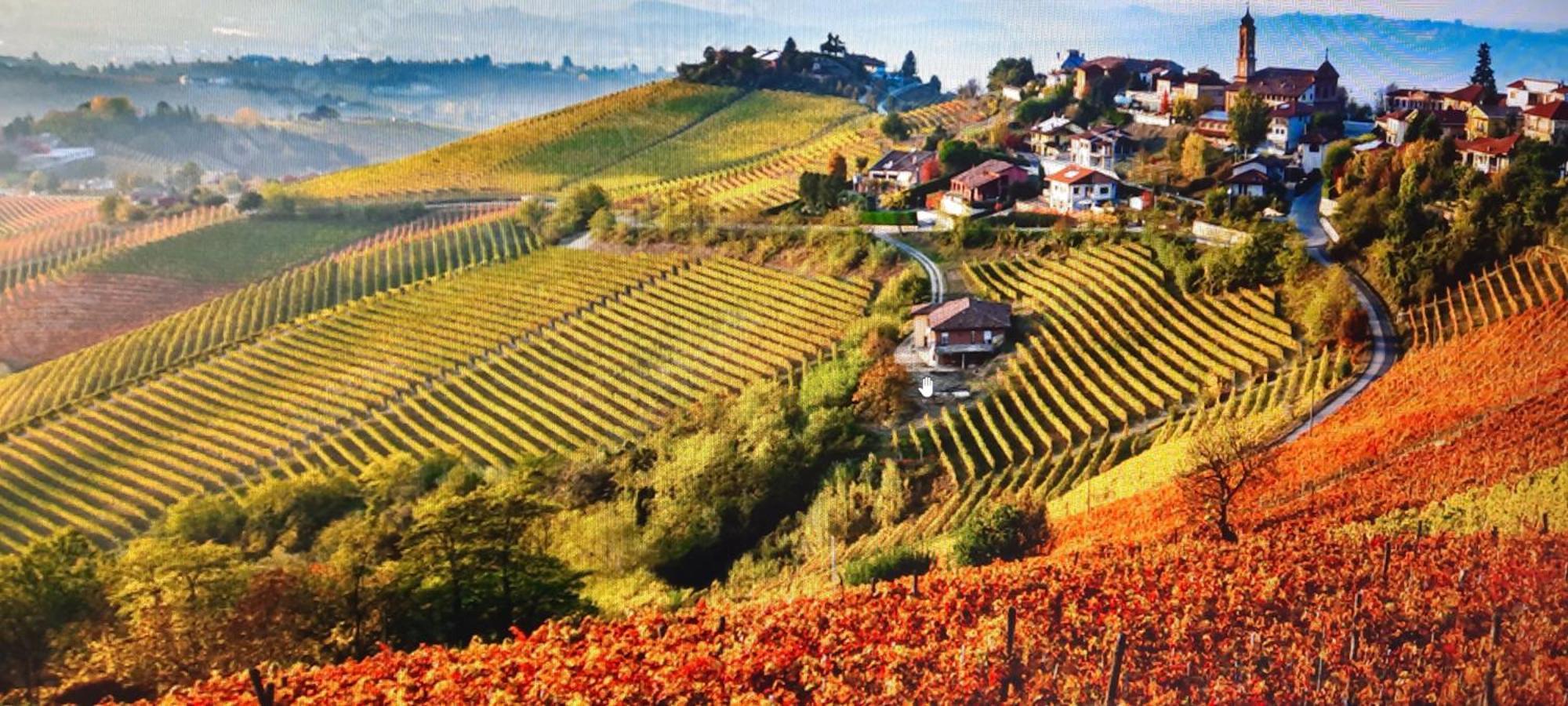 Ca Trifolera Barbaresco - Romantico Cascinale Con Antica Cantina Nel Cuore Delle Langhe - Degustazione Vini Nella Nostra Cantina Exteriér fotografie
