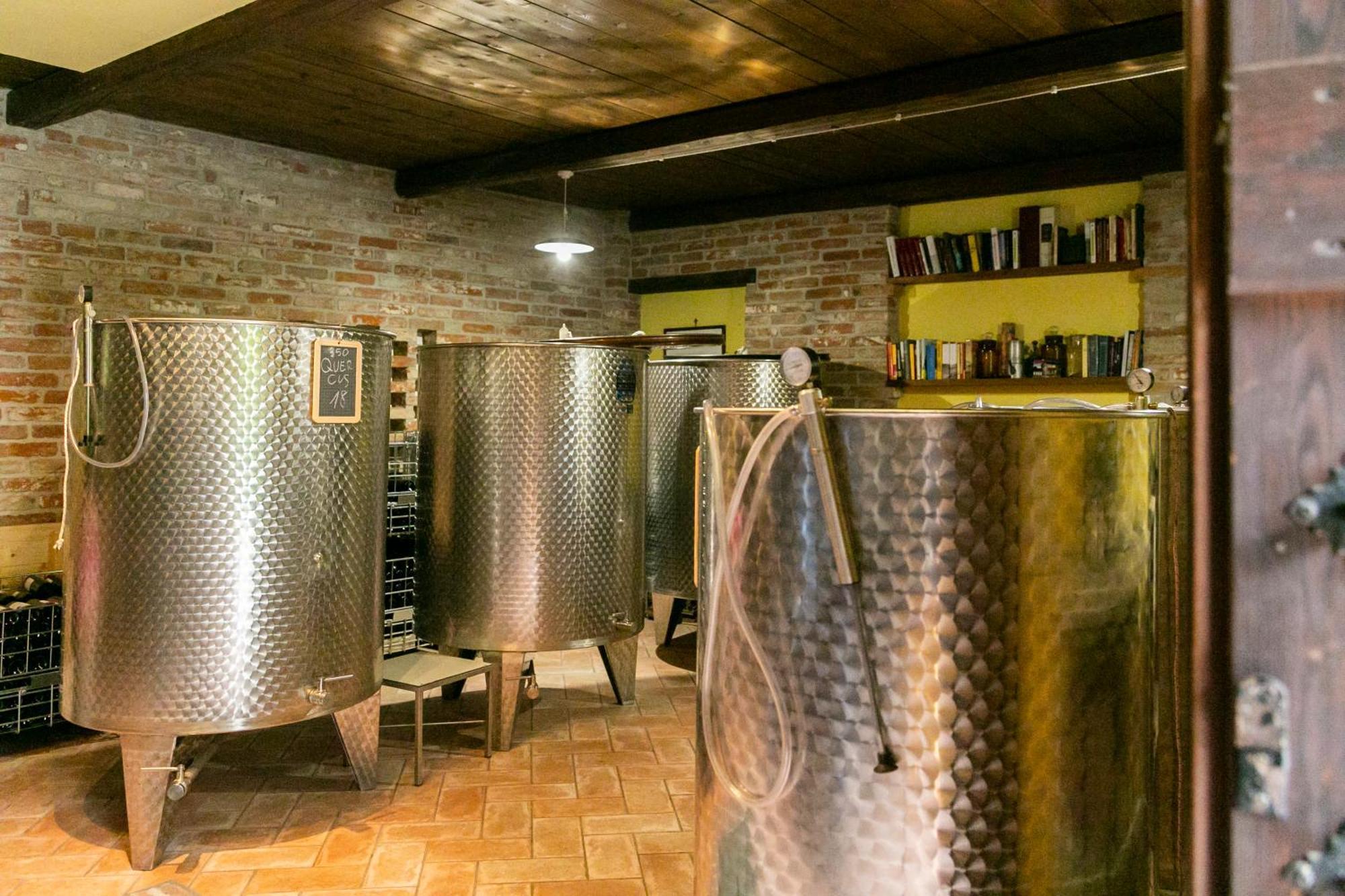 Ca Trifolera Barbaresco - Romantico Cascinale Con Antica Cantina Nel Cuore Delle Langhe - Degustazione Vini Nella Nostra Cantina Exteriér fotografie
