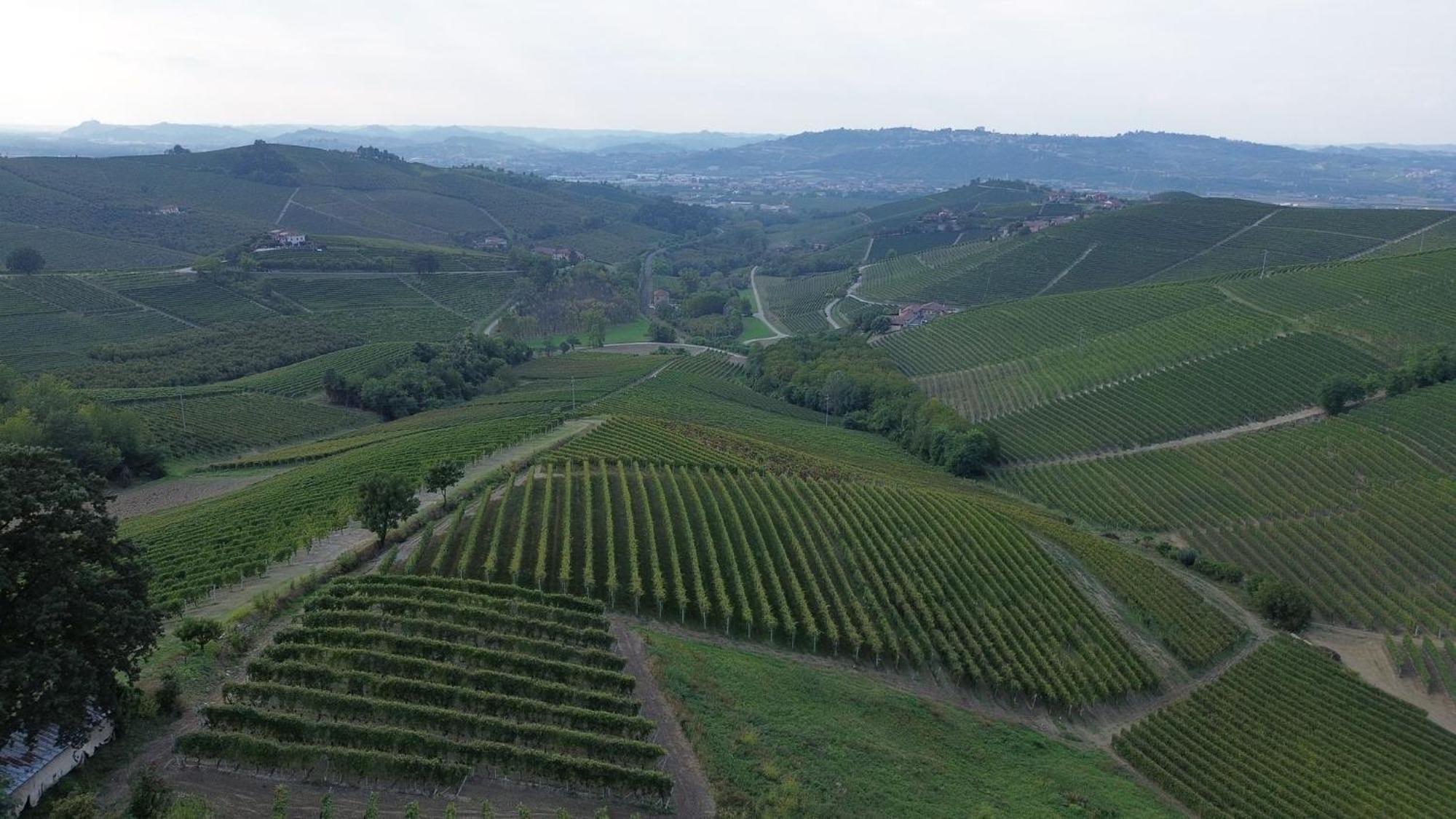 Ca Trifolera Barbaresco - Romantico Cascinale Con Antica Cantina Nel Cuore Delle Langhe - Degustazione Vini Nella Nostra Cantina Exteriér fotografie