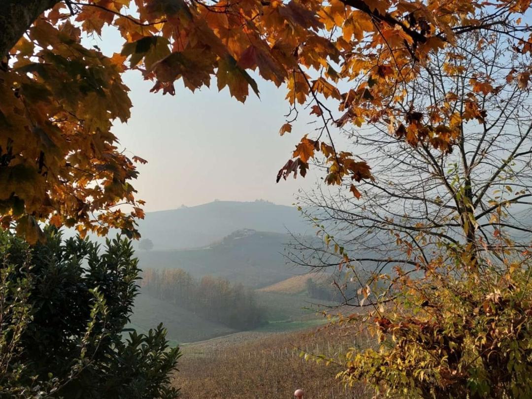 Ca Trifolera Barbaresco - Romantico Cascinale Con Antica Cantina Nel Cuore Delle Langhe - Degustazione Vini Nella Nostra Cantina Exteriér fotografie